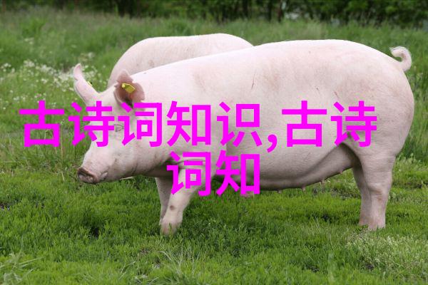 王安石变法