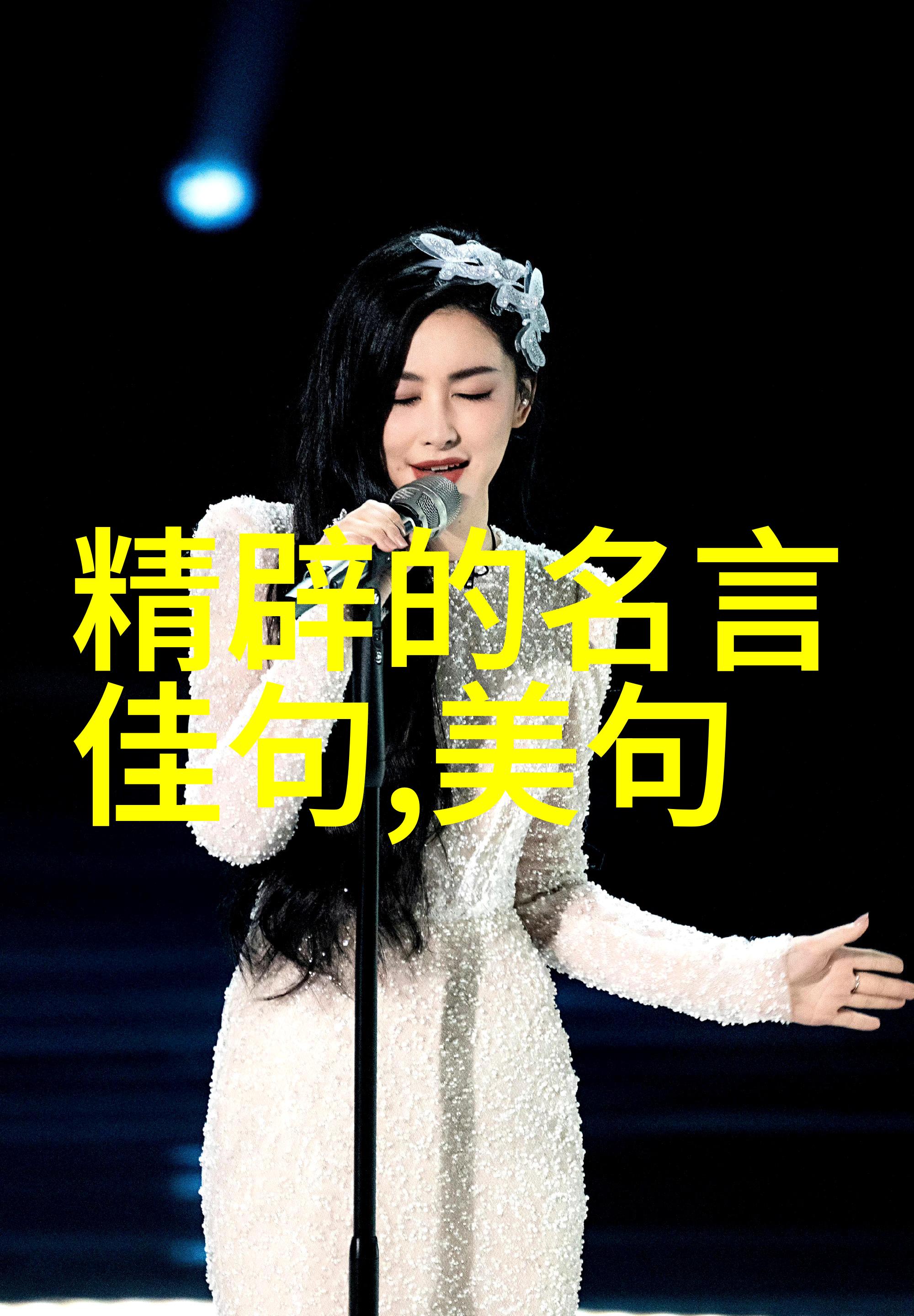 鲁酒不可醉齐歌空复情