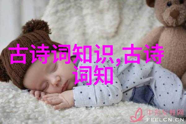 诗歌概念的起源 - 一种主情的文学体裁