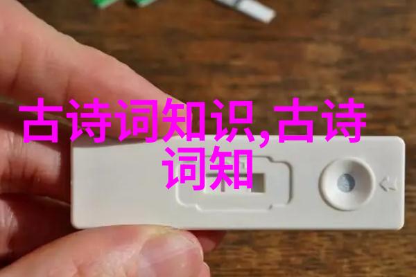 虞允文书生退敌